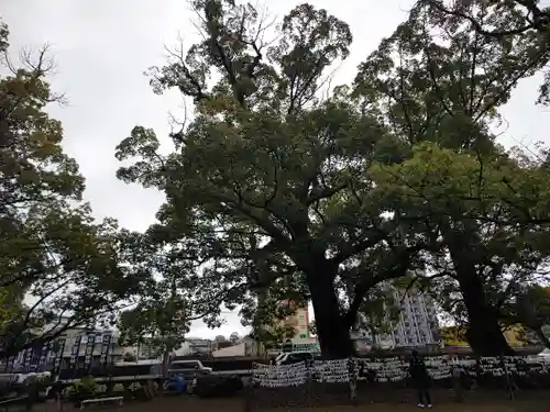諫早神社（九州総守護  四面宮）(長崎県)