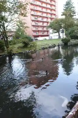 善知鳥神社(青森県)