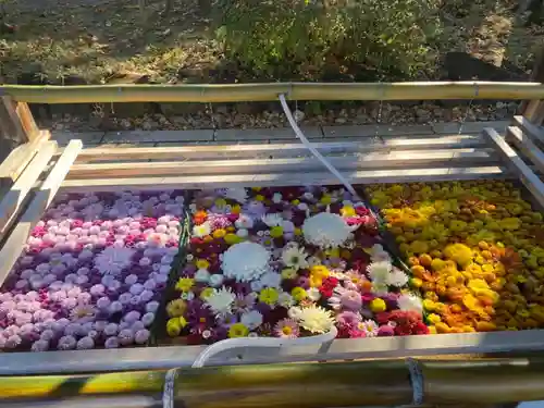 笠間稲荷神社の手水舎