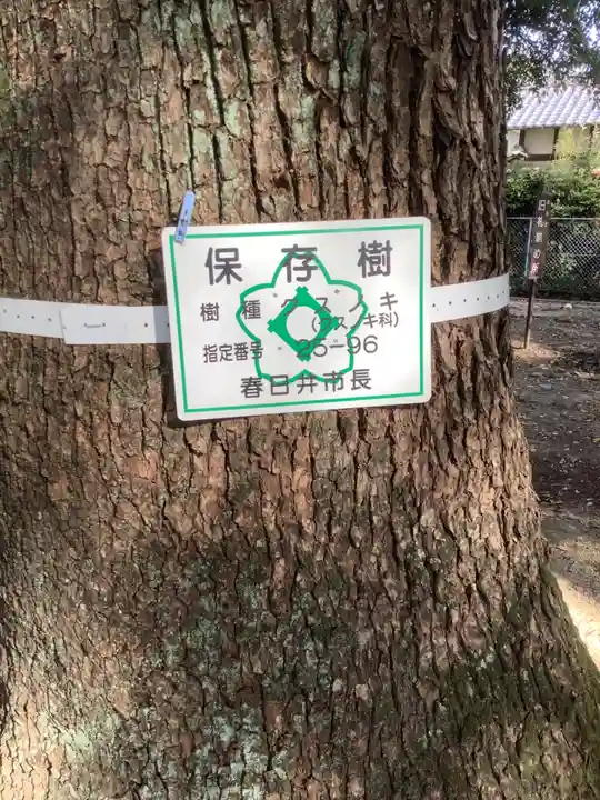 神明社(神明大明神)の自然