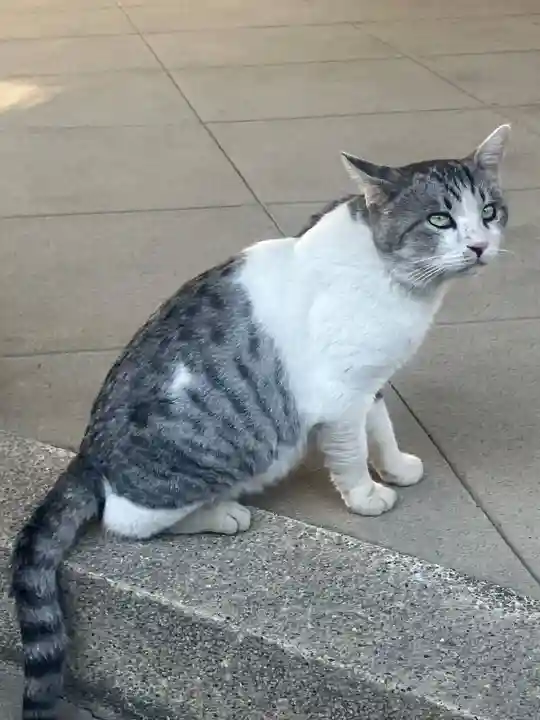 八幡神社(福井県)