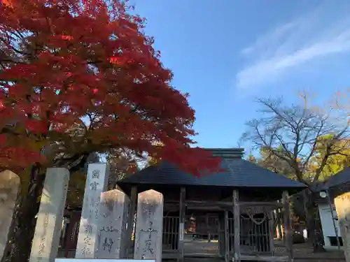 勝常寺の山門