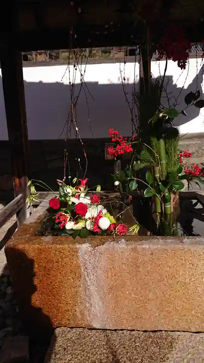 興聖寺(興聖寶林禅寺)(京都府)