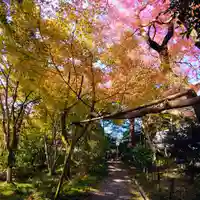 十輪寺(京都府)