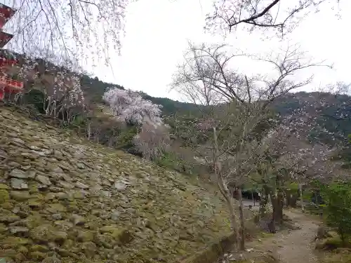 青岸渡寺(和歌山県)