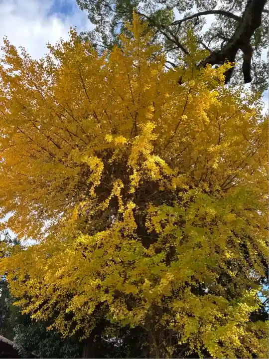 伊勢神明社(静岡県)