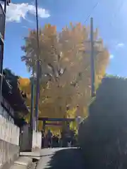 丹生酒殿神社(和歌山県)