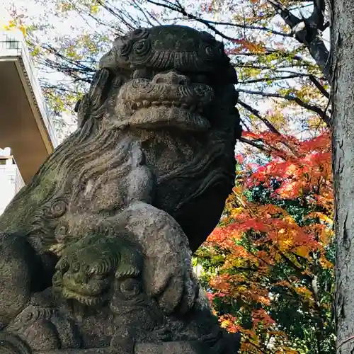 田無神社の狛犬