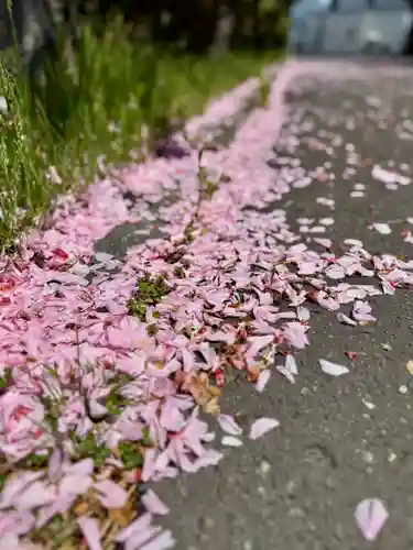 伊達神社(北海道)