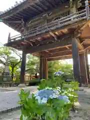 伊勢の国 四天王寺の山門