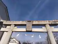 舎人氷川神社の鳥居