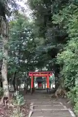 白山神社（今津町上弘部）(滋賀県)