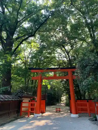 河合神社（鴨川合坐小社宅神社）の鳥居