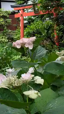 宝蔵寺(京都府)