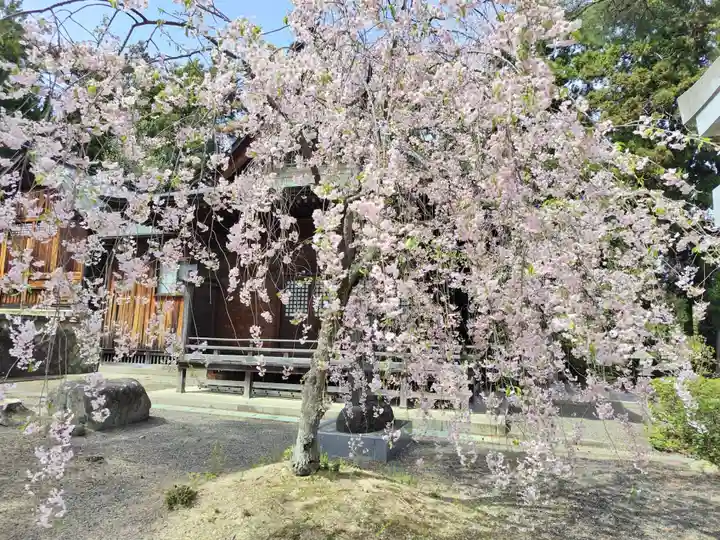 豊景神社の自然