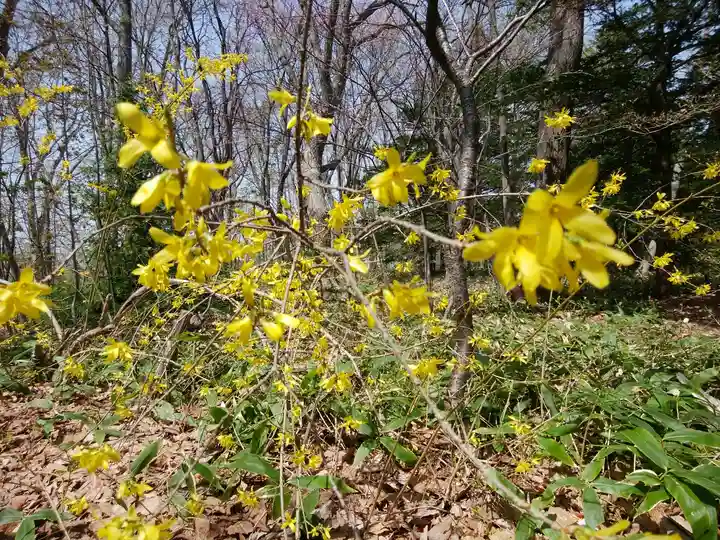 厚別神社(北海道)