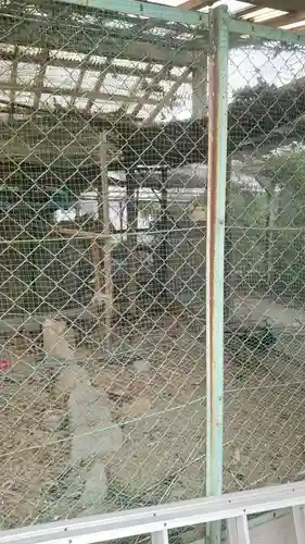 日吉神社(兵庫県)