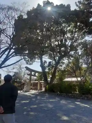 高麗神社(埼玉県)