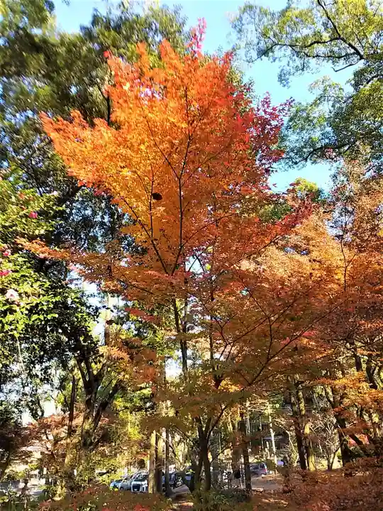 多久神社の自然