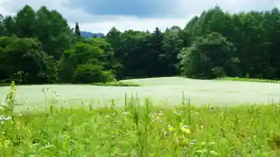 戸隠神社火之御子社の周辺