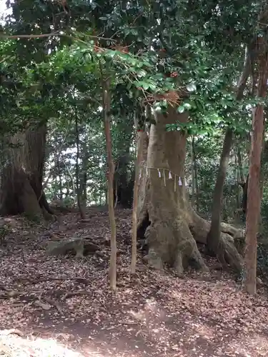 加良比乃神社の自然