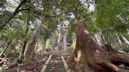 白山神社の建物その他