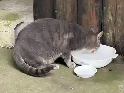 唐澤山神社(栃木県)