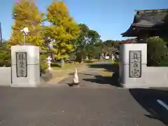 勝覚寺の山門