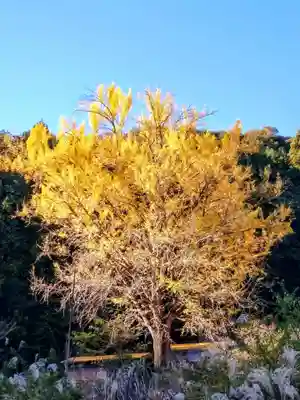 慈徳院(愛知県)