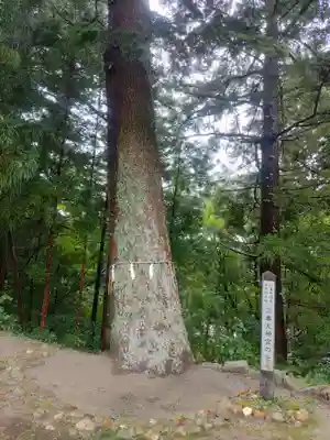 三春大神宮(福島県)
