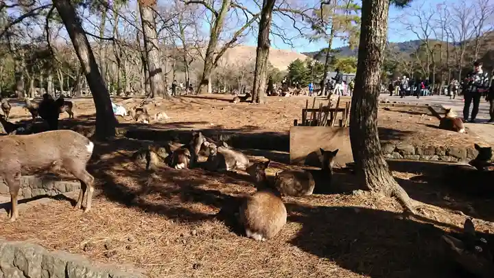 東大寺(奈良県)