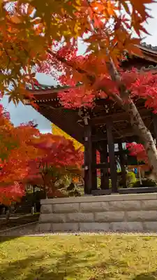  智積院(京都府)