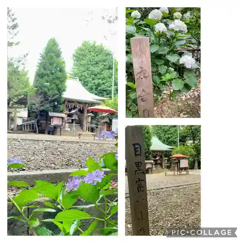 上目黒氷川神社(東京都)