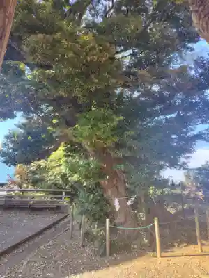 九重神社(埼玉県)