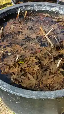 勝林寺(京都府)