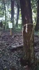 息栖神社の建物その他