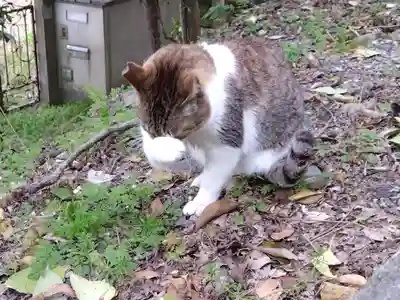 熊野若王子神社(京都府)