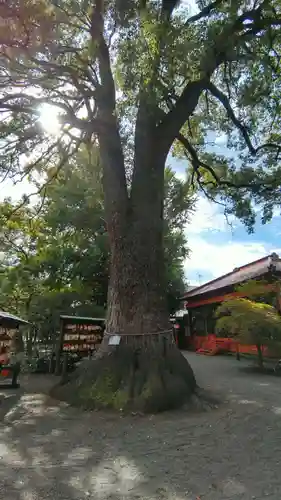 冠稲荷神社(群馬県)