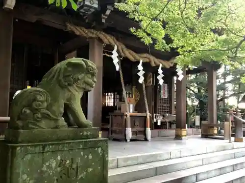 阿蘇神社の狛犬