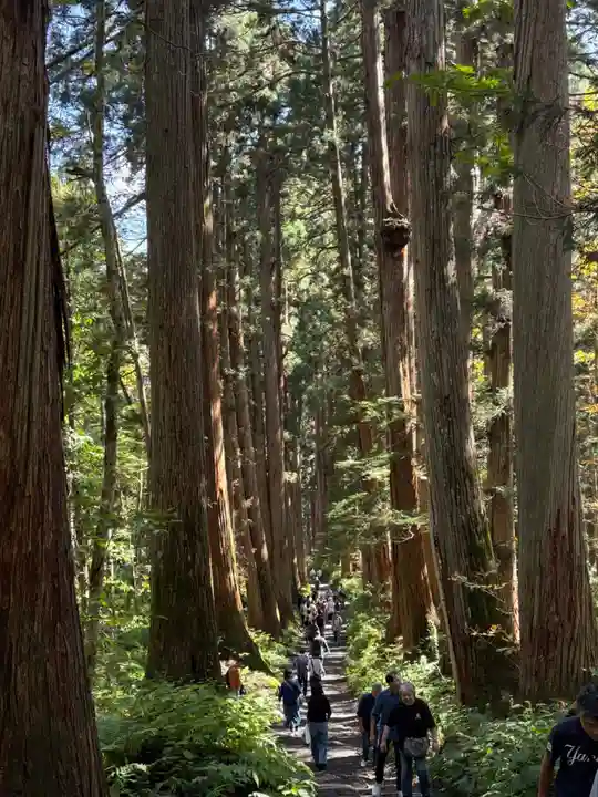 戸隠神社九頭龍社(長野県)