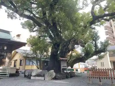 伊河麻神社(静岡県)