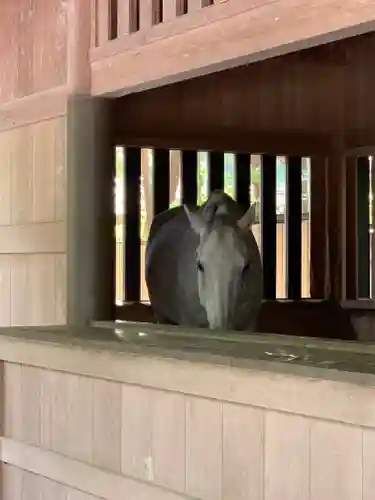 伊勢神宮外宮（豊受大神宮）の動物