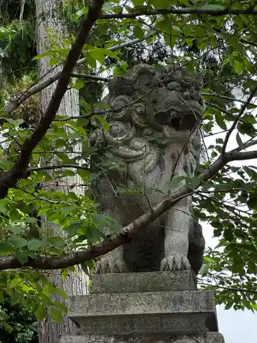 針綱神社(愛知県)