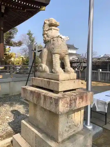 赤穂大石神社の狛犬