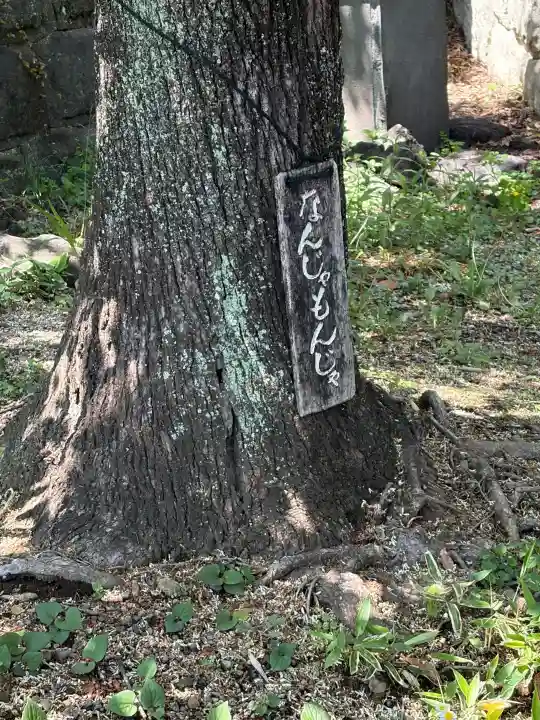 深大寺(東京都)