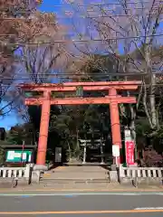 世田谷八幡宮(東京都)