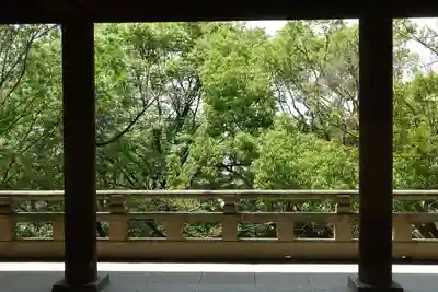 四條畷神社の本殿・本堂