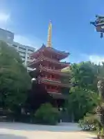 東長寺の{uncategorized: "未分類", other: "その他", undefined: "問題あり", building: "その他建物", grave: "お墓", sacred_gate: "鳥居", guardian: "狛犬", statue: "像", buddha: "仏像", history: "歴史", nature: "自然", garden: "庭園", animal: "動物", pagoda: "塔", temizu: "手水舎", mountain_gate: "山門・神門", sanctuary: "本殿・本堂", subordinate: "末社・摂社", art: "芸術", scenery: "景色", jizo: "地蔵", ema: "絵馬", goshuin: "御朱印", omikuji: "おみくじ", items: "授与品その他", amulet: "お守り", goshuincho: "御朱印帳", eats: "食事", festival: "お祭り", votive_dance: "神楽", shichigosan: "七五三参", wedding: "結婚式", experience: "体験その他", initially: "初詣", around: "周辺", anti_infection: "感染症対策"}