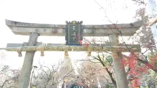 長岡天満宮の鳥居