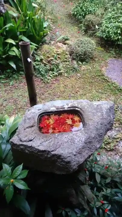 三寶寺の手水舎